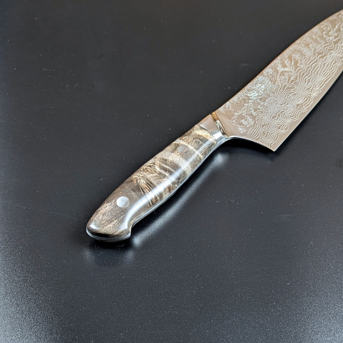 Enkyu SG2 Gyuto 210mm Quince Burl Wood Handle with Bolster