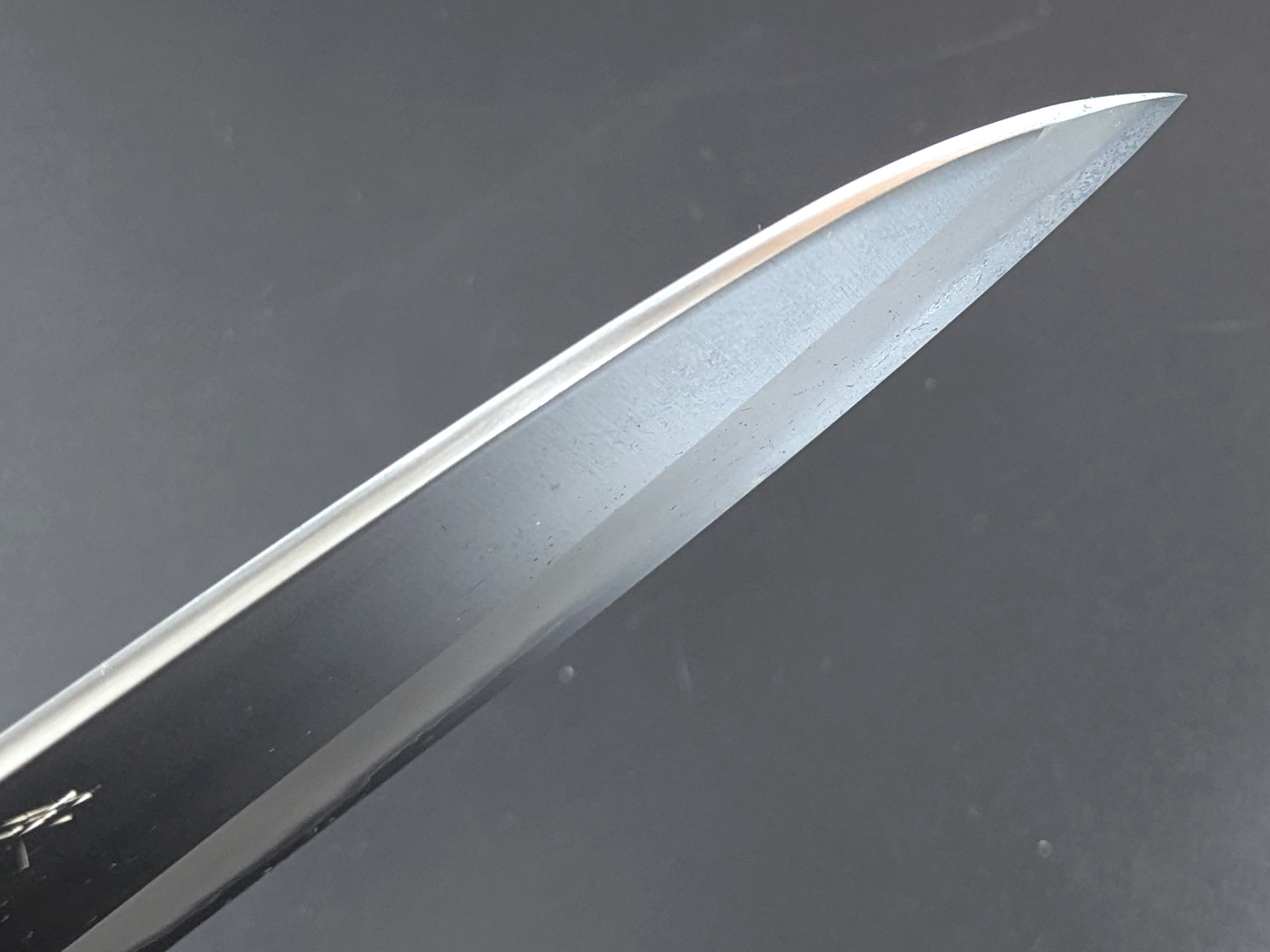 Sadamasa Stainless Clad Aogami #2 Migaki Santoku 165mm