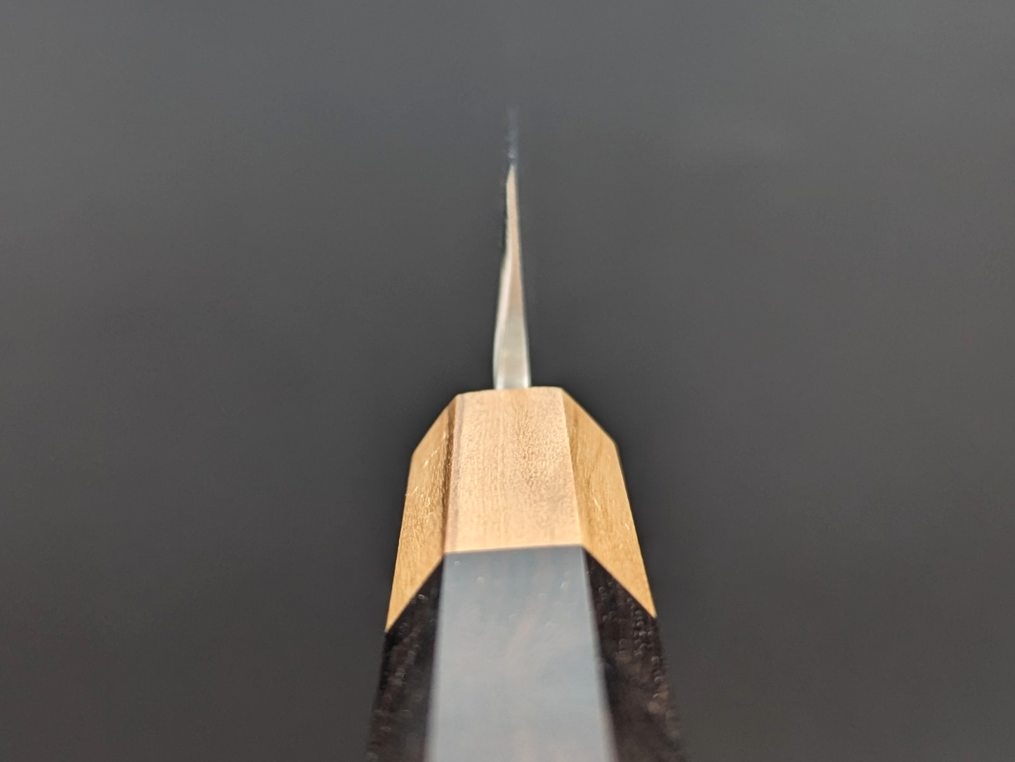 Inoguchi Ginsan Yanagiba 210mm Ebony Handle