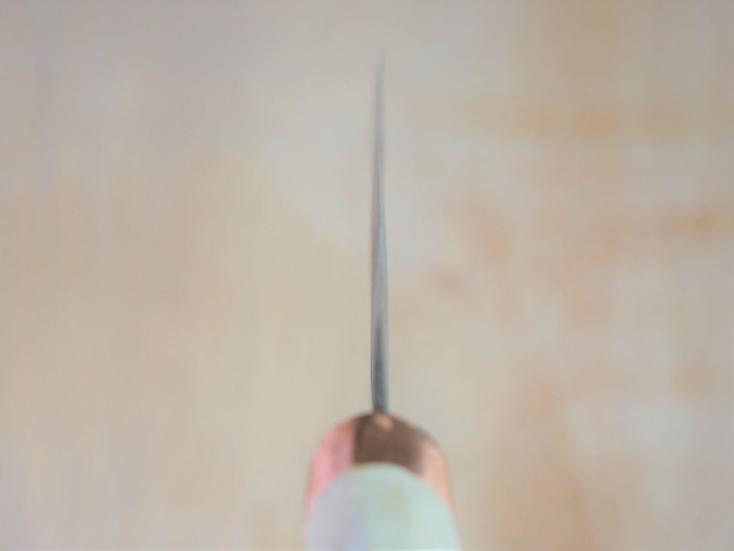 Heel of 180mm Shirogami No.3 Yanagiba forged by Tsutomu Takahashi