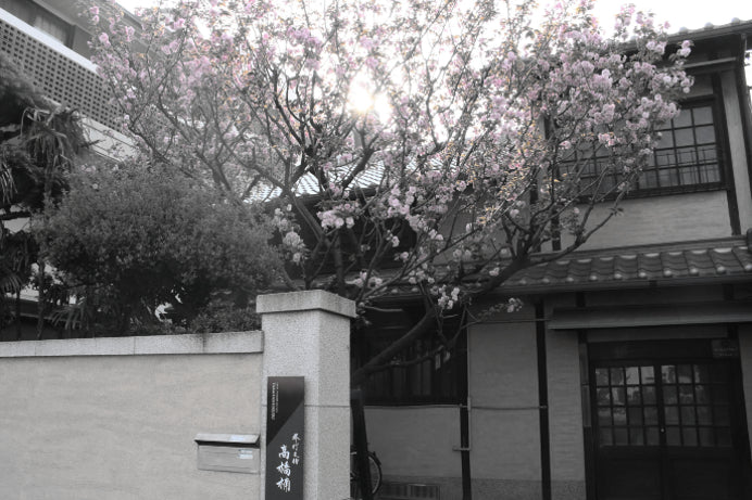 Takahashikusu