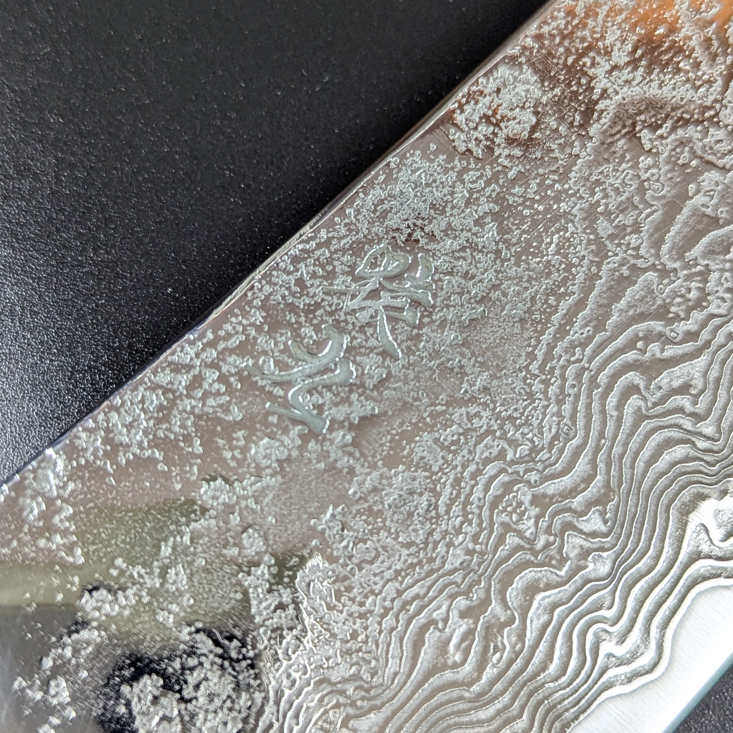 Enkyu SG2 Gyuto 210mm Quince Burl Wood Handle with Bolster