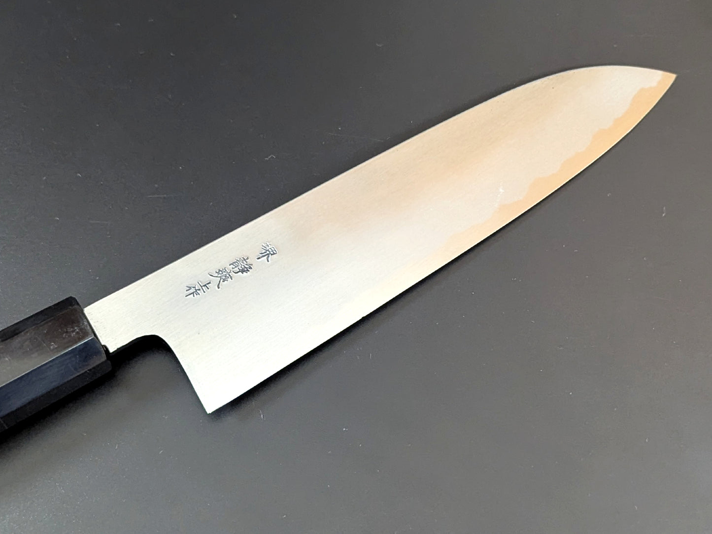 Enami Uchihamono Aogami #2 Gyuto 210mm Ebony Handle