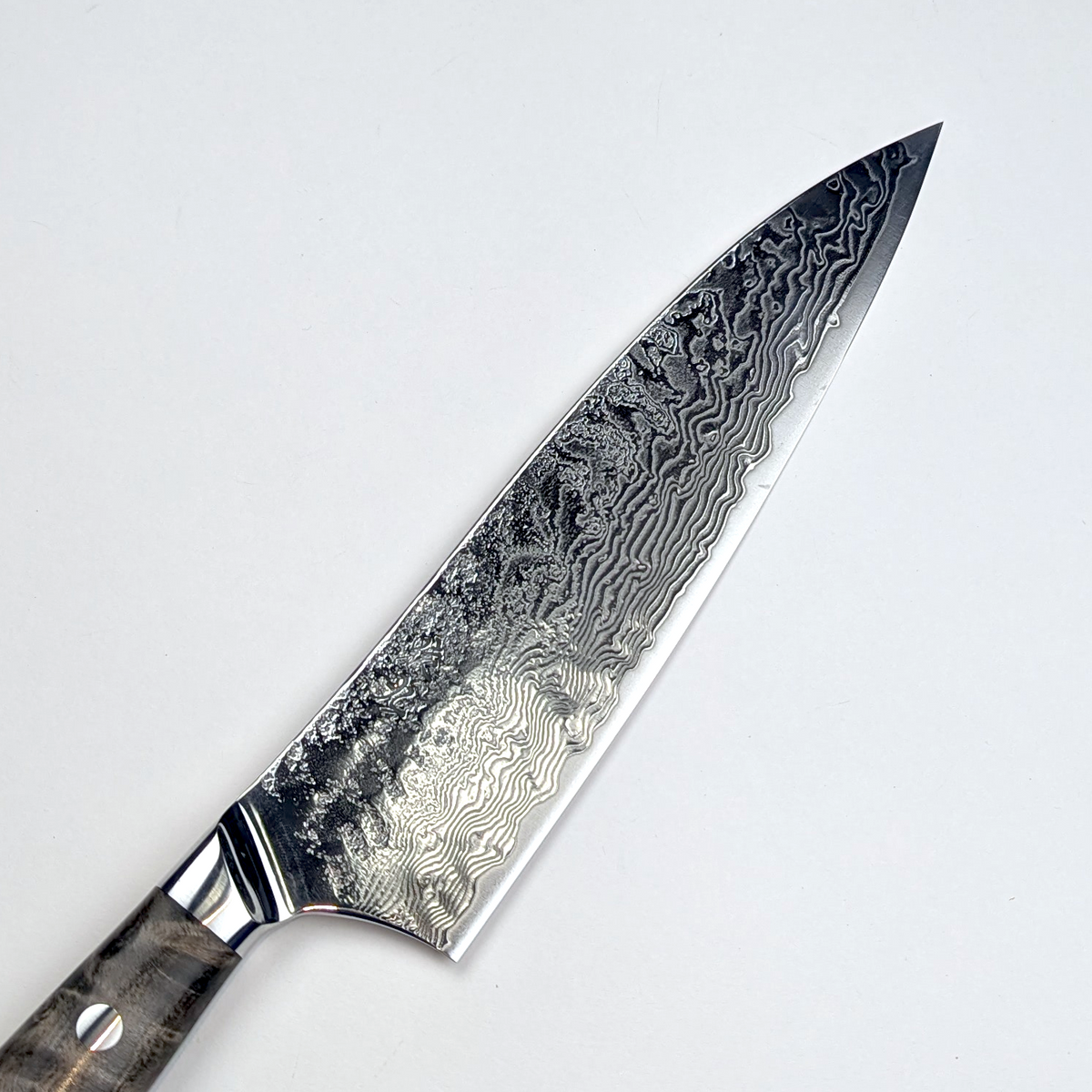 Enkyu SG2 Gyuto 210mm Quince Burl Wood Handle with Bolster