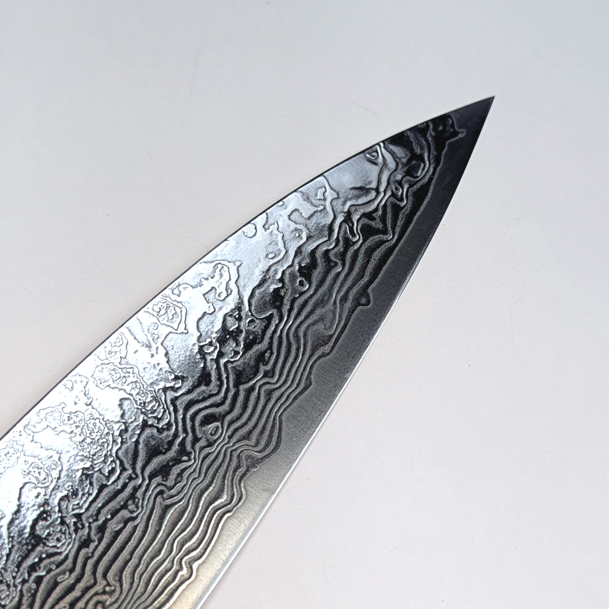 Enkyu SG2 Gyuto 210mm Quince Burl Wood Handle with Bolster