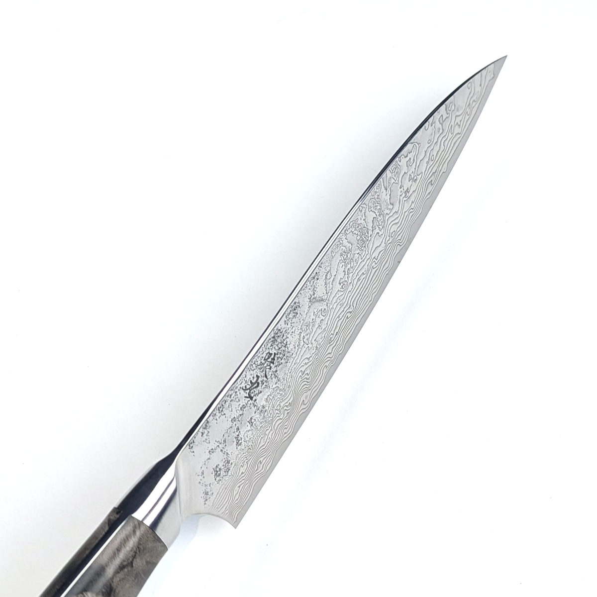 Enkyu SG2 Gyuto 210mm Quince Burl Wood Handle with Bolster
