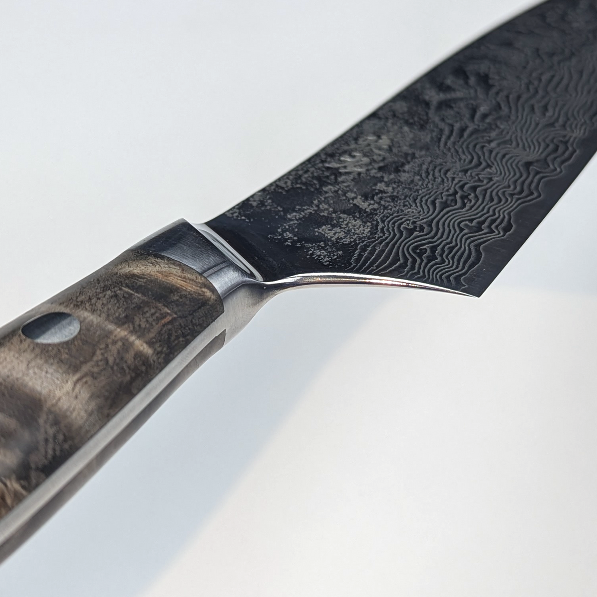 Enkyu SG2 Gyuto 210mm Quince Burl Wood Handle with Bolster