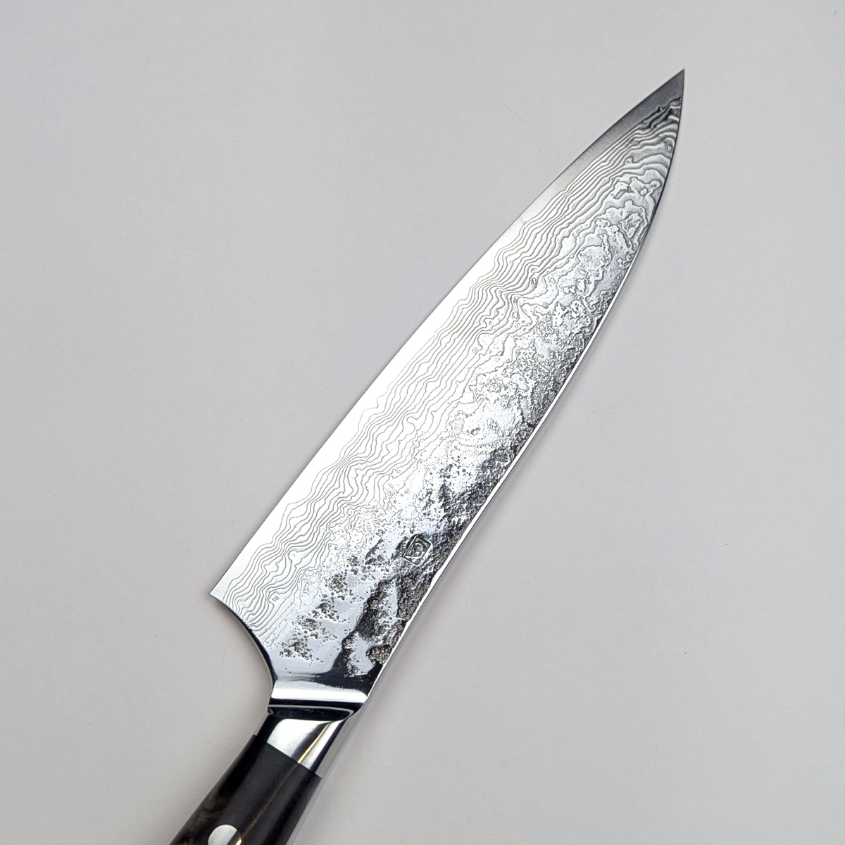 Enkyu SG2 Gyuto 210mm Quince Burl Wood Handle with Bolster