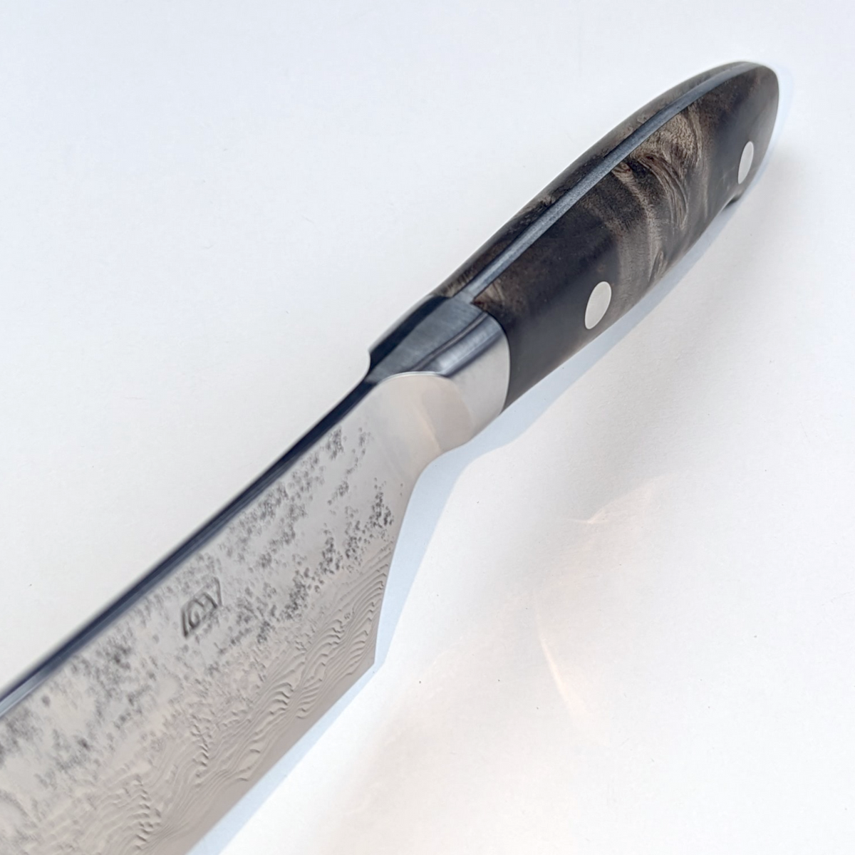Enkyu SG2 Gyuto 210mm Quince Burl Wood Handle with Bolster