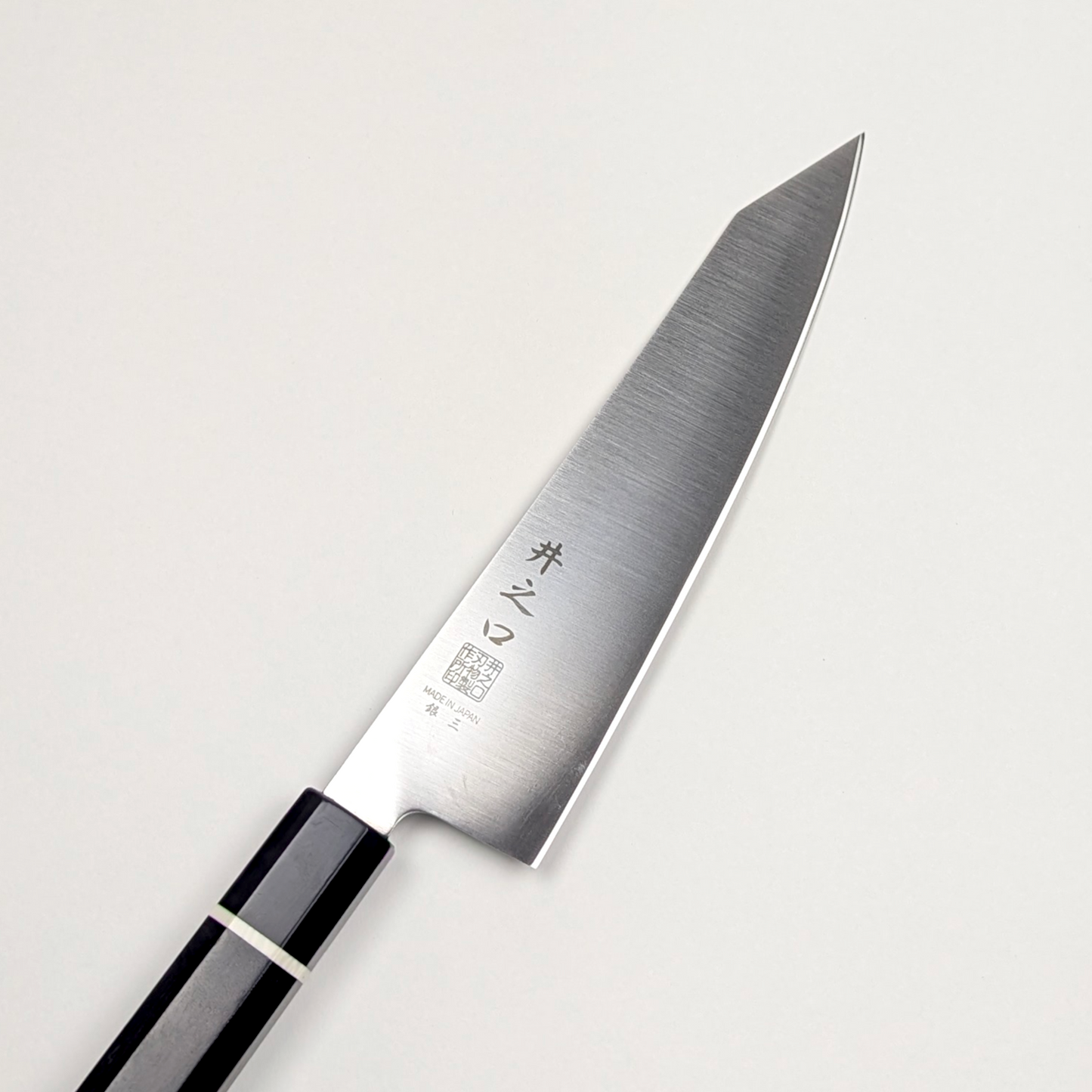 Inoguchi Ginsan Kiritsuke Gyuto 210mm Ebony Handle (White Ring)