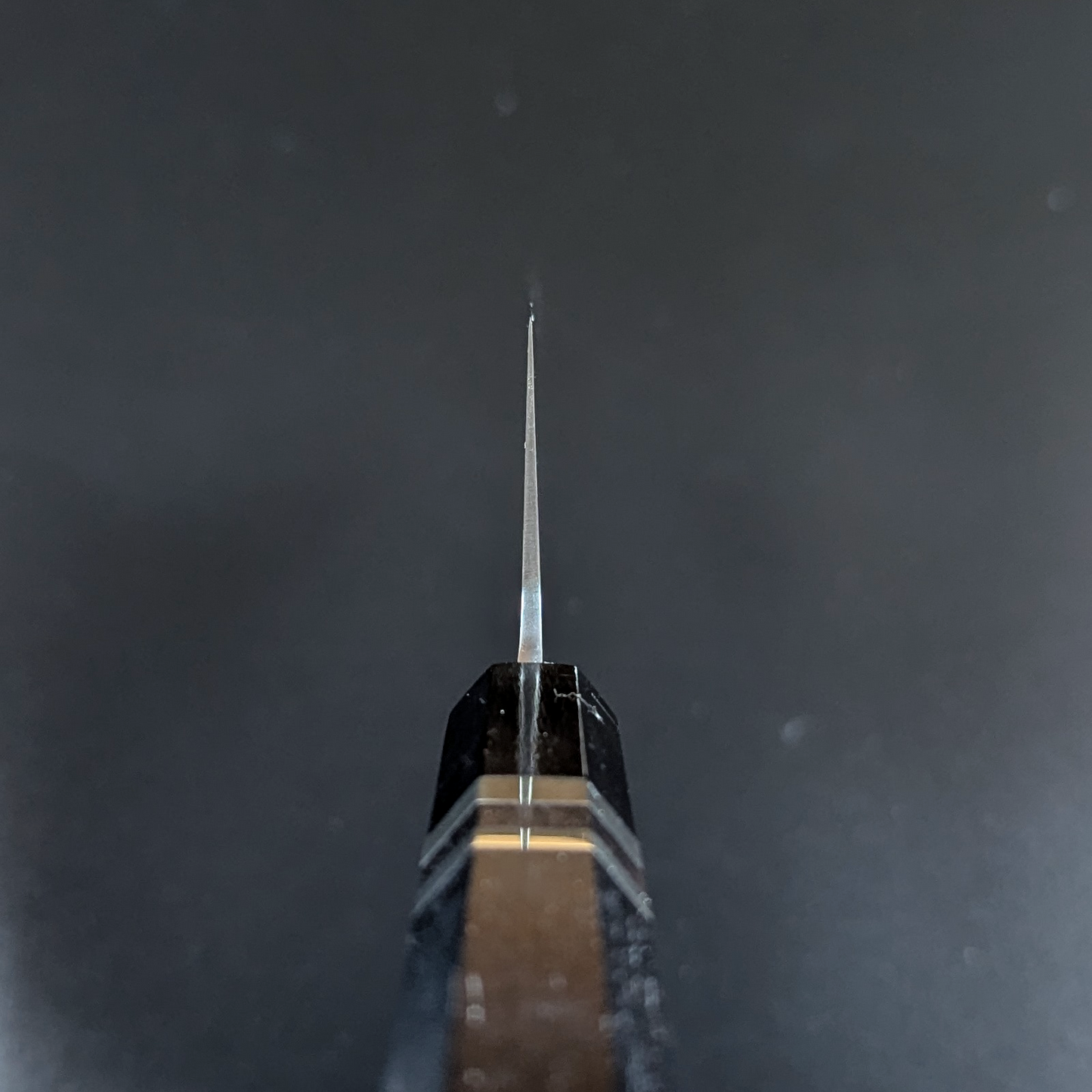 Inoguchi Ginsan Kiritsuke Santoku Ebony Handle with Silver Rings