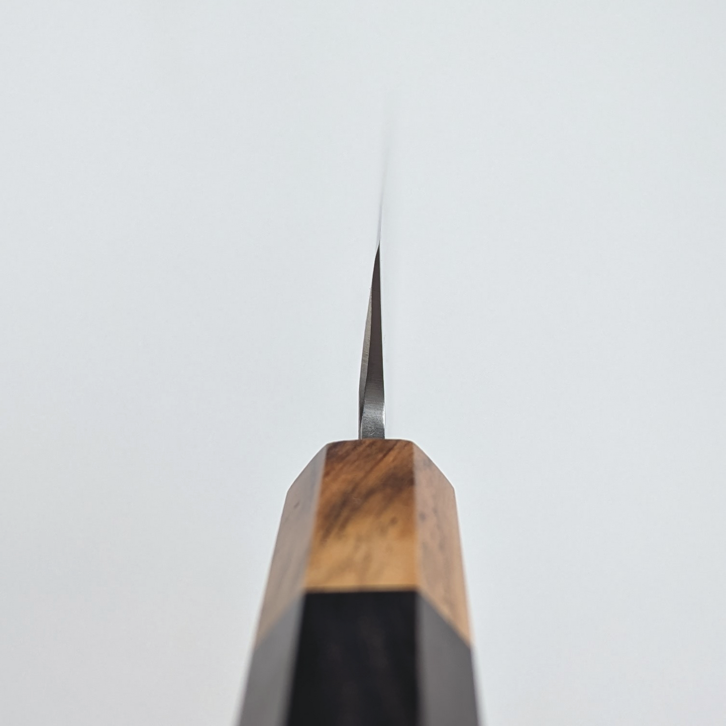 Inoguchi Ginsan Yanagiba 210mm Ebony Handle