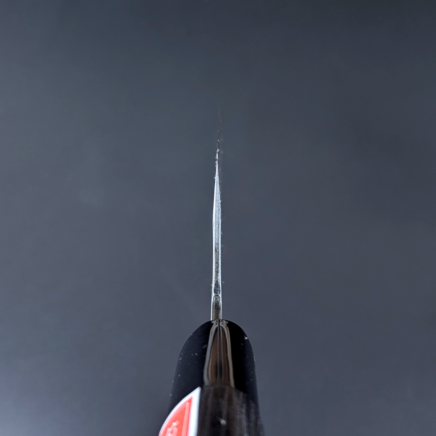 Sadamasa Stainless Clad Aogami #2 Migaki Santoku 165mm