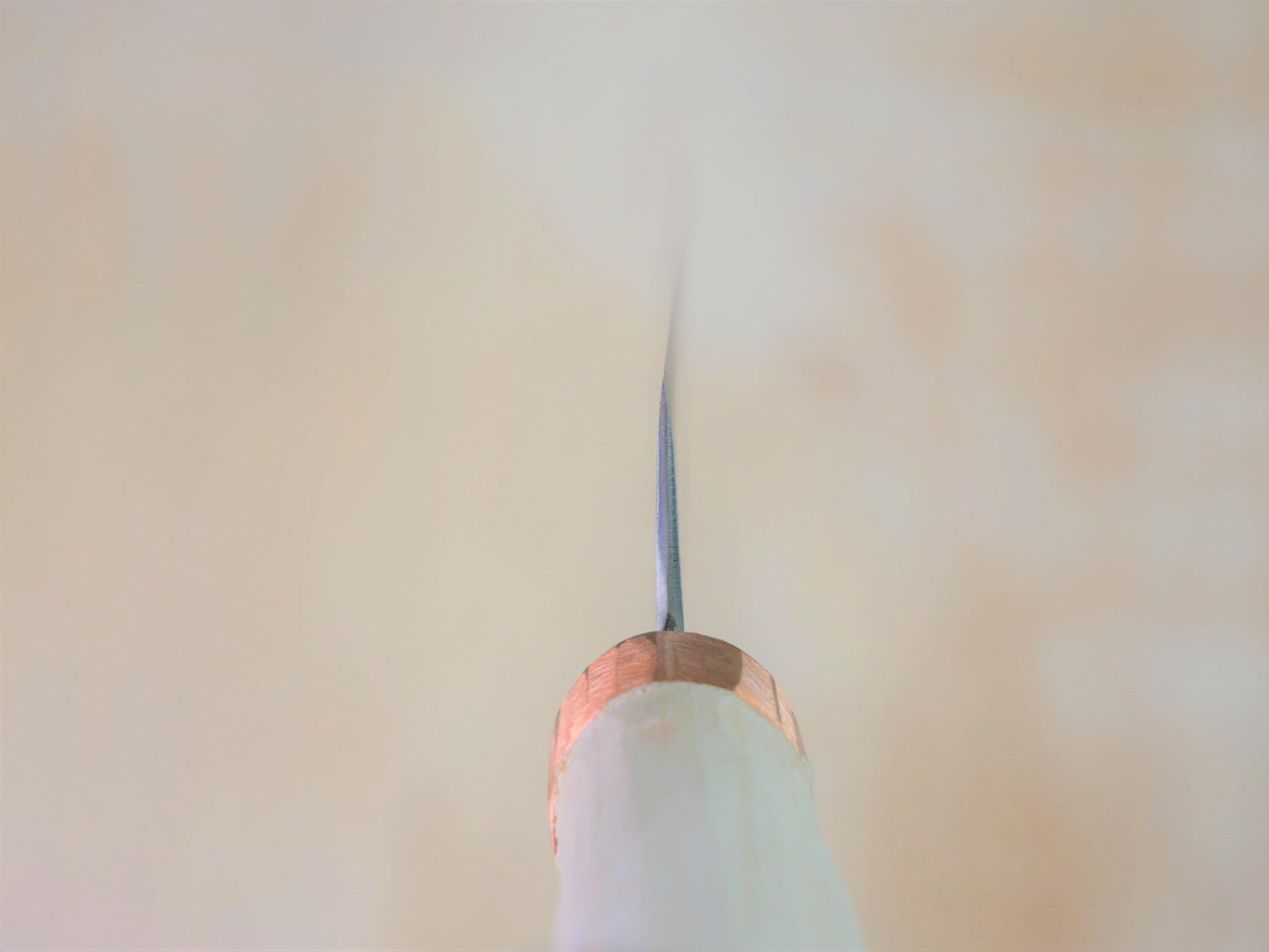 Heel of Shirogami No.3 Nakiri forged by Tsutomu Takahashi